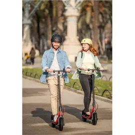 Segway-Ninebot D38D schwarz