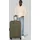 check.in Sevilla 2.0 4-Rollen 75 cm / 92 l grün