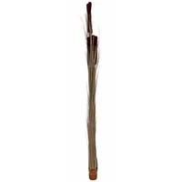 Europalms Europalms, Kunstpflanzen, Schilfgras mit Kolben (152 cm)