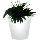 Blumentopf Leuchte | Ø730xH800mm | E27 | Kabel | Beleuchtete Blumenkübel, Beleuchtete Pflanzkübel, Pflanzkübel beleuchtet