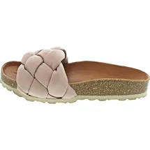 Verbenas Rai Roda rose 38