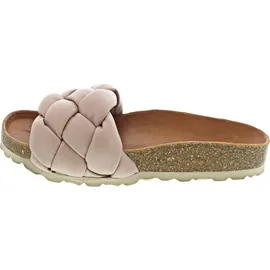 Verbenas Rai Roda rose 38