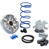 Polini kids Hi-Speed Variator für Minarelli liegend