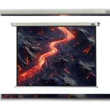 Celexon Motor Professional 300x225 4:3