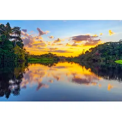 Fototapete PAPERMOON "REGENWALD-AMAZONAS WALD LAGUNE SONNENMUNTERGANG FLUSS", bunt, B:3,50m L:2,60m, Vlies, Tapeten
