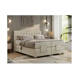 MKS Meble Boxspringbett 200 x 200 cm H3 Beige