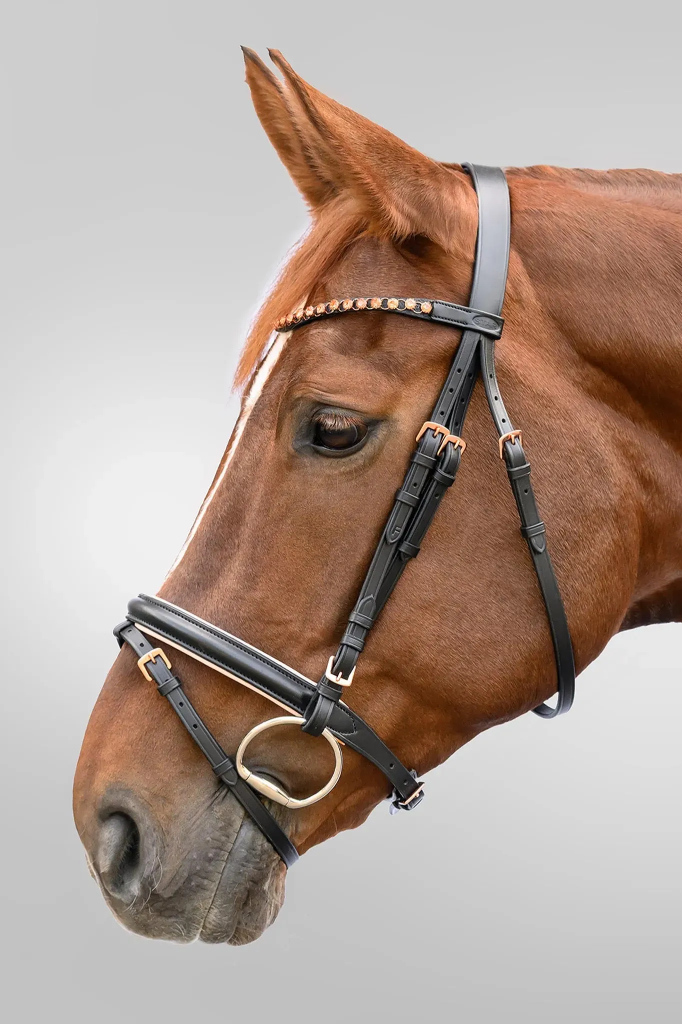 Star Rosegold Trense mit englisch-kombiniertem Reithalfter
