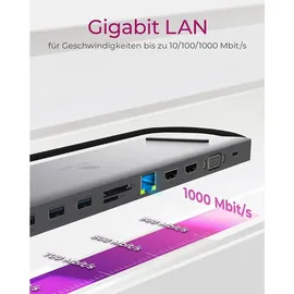 Icy Box RaidSonic ICY Box IB-DK2106-C Multiport-Adapter, USB-C 3.0 [Stecker] (60629)