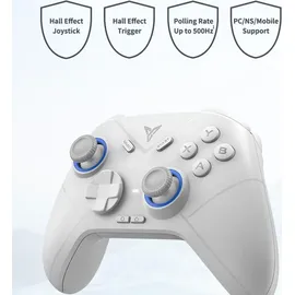 Flydigi Direwolf 2 Wireless Controller - Grau
