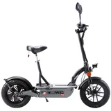 eneway Revoluzzer45 3.5 "pro" - E-Scooter 45km/h - 48V 40AH Lithium