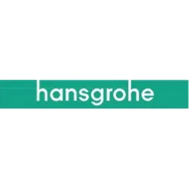 Hansgrohe Siebdichtung