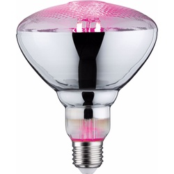 Paulmann, Pflanzenlampe, Pflanzenlampe (LED, 230 V)