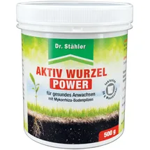 Silberkraft Aktiv Wurzel Power 500 g