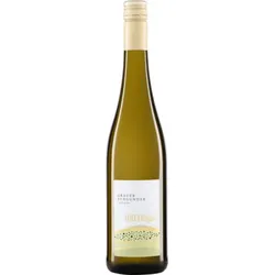 Riesling 100 HÜGEL Weingut Immel 2023 BIO
