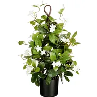 Mica decorations Stephanotis im Topf Ø 30 x 60