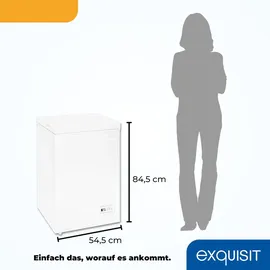 Exquisit Gefriertruhe, Kombigerät, Tiefkühltruhe, 98 Liter, 4-Sterne-Gefrieren, Gefriertruhe klein, Toplader, GT101-E-040E weiss