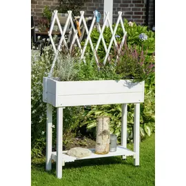 Dobar Hochbeet mit Rankhilfe 79 x 28,5 x 130 cm weiß