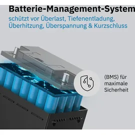 Ective LC 100 12V LiFePO4 Versorgungsbatterie 100 Ah 1280Wh