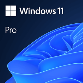 Microsoft Windows 11 Pro USB-Stick DE