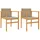 vidaXL Gartenstuhl 50 x 75 x 78 cm beige 2 St.