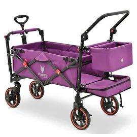 FUXTEC Fuxlife Premium Bollerwagen FX-CT850 Purpur