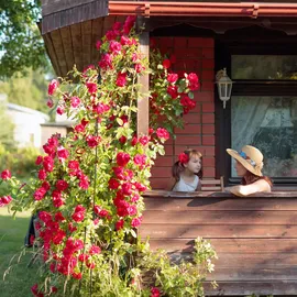 Relaxdays Obelisk Rankhilfe 150 x 20 x 20 cm Schwarz