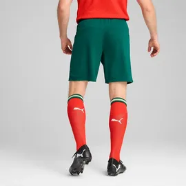 Puma Portugal Short 2023/24 grün Herren Gr. M