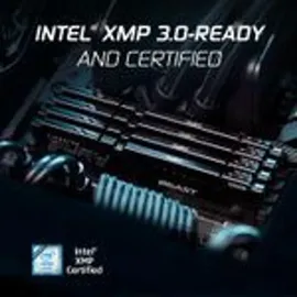 Kingston FURY Beast DDR5 - Kit - 32 GB: 2 x 16 GB - Schwarz