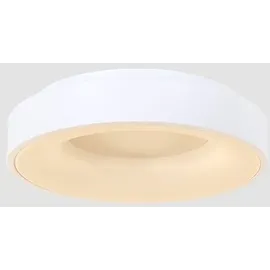 Steinhauer Ringlede 1 LED rund weiß matt