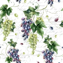ti-flair 20 Servietten Papier 33x33cm 3-lagig - hochwertige Einweg Papierservietten Motivservietten für Feier Hochzeit Geburtstag mediterrane Traubendekoration