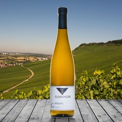 Bernhard Ellwanger Riesling Gutswein trocken 2022