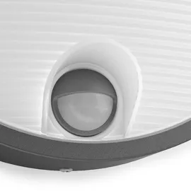 Philips LED Außenwandleuchte Capricorn