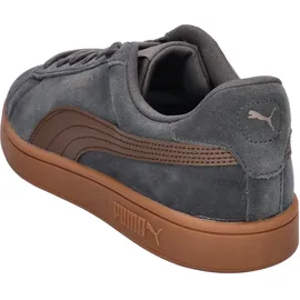 Puma Smash 3.0 Grau/Bronze 40,5