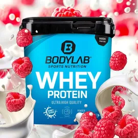 Bodylab24 Whey Protein Himbeer-Joghurt Pulver 2000 g