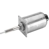 Continental/VDO Stellelement, Exzenterwelle (variabler Ventilhub)