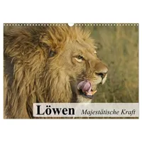 Calvendo Löwen. Majestätische Kraft (Wandkalender 2026 DIN A3 quer),