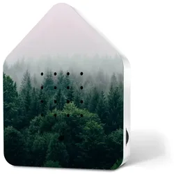 Zwitscherbox Limited Edition Morning Forest