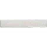 Decosa Deckenpaneele Stockholm Esche Weiß 10 Packstücke à 12 Paneelen 100 x 16,5 cm