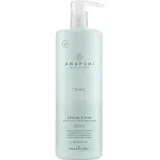 Paul Mitchell Awapuhi Wild Ginger Repair Cream Rinse 1000 ml