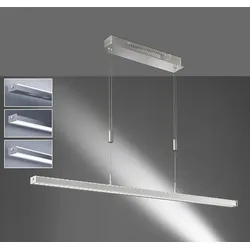 FISCHER & HONSEL Pendelleuchte VITAN TW