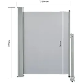 vidaXL Ausziehbare Seitenmarkise 100 x 300 cm grau 45186