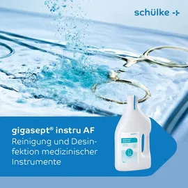 Schülke gigasept® instru AF Instrumentendesinfektion (aldehydfrei) 2 Liter