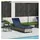 vidaXL Sonnenliege 200 x 55 x 77 cm Grau