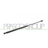 PRASCO Gasfeder, Koffer-/Laderaum