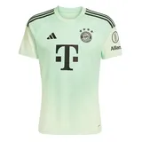 adidas FC Bayern München Torwarttrikot 2025/26 Herren Gr. S