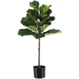 aplanta Künstlicher Ficus Lyrata - Niran | 90 cm,