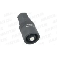 BikeService Polradabzieher M24 x 1,0 mm, Innengewinde, Rechtsgewinde
