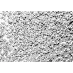 Epoxidharz-Antirutschbeschichtung, Extra Stark Körnung grob hellgrau, 5kg