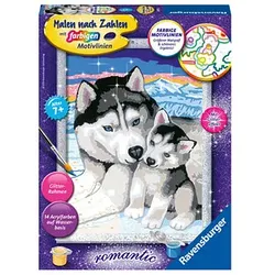 Ravensburger Malen-nach-Zahlen Husky Kuss mehrfarbig