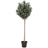 VCM ebuy24 Kunstpflanze Oliven Grün 58 x 58 cm | Gr.: onesize